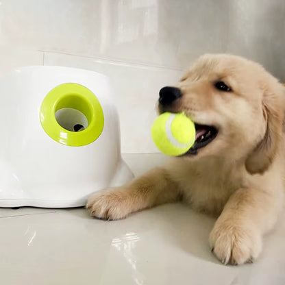 ZHAYA Catapult for Dogs Ball Launcher Dog Toy Tennis Ball Launcher Jumping Pitbull Toys Tennis Ball Machine Automatic